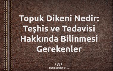 topuk_dikeni